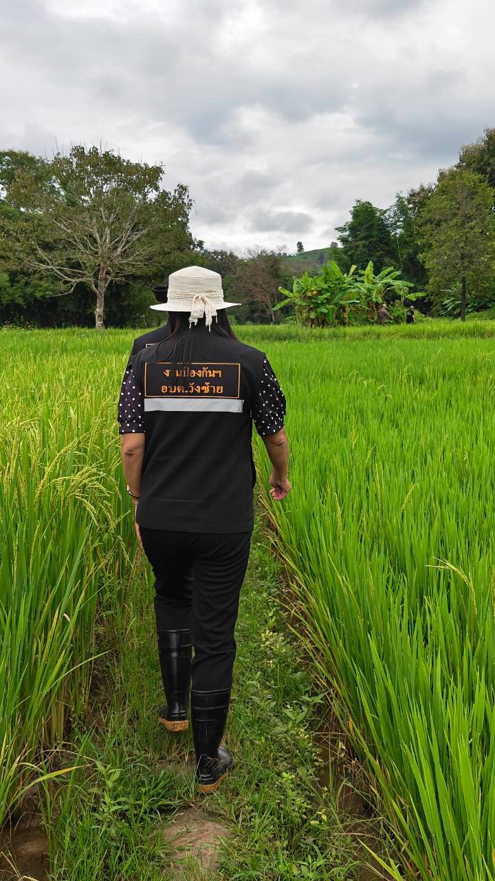 สำรวจพื้นที่ทำการเกษตรที่ได้รับความเสียหายจากเหตุอุทกภัย บ้านหัวทุ่ง หมู่ที่ 3